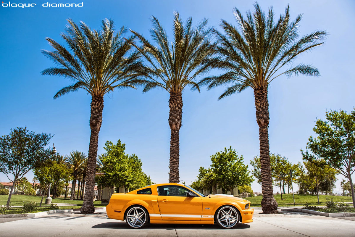 2008 Ford Shelby Fitted with 20 Inch BD-8’s in Silver