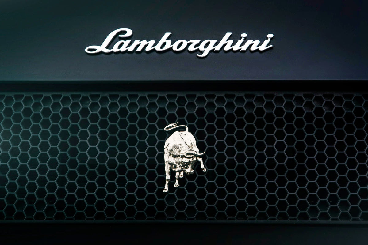 2008 Lamborghini Gallardo with 20inch silver staggered BD-4