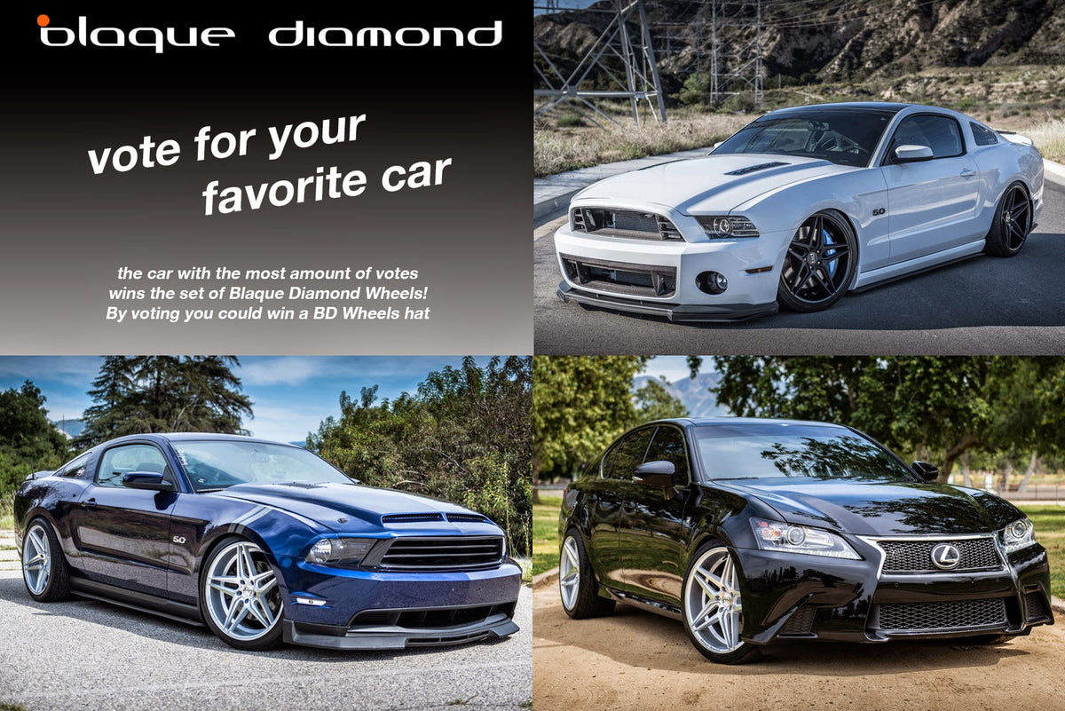 Vote For Your Favorite to WIN!!