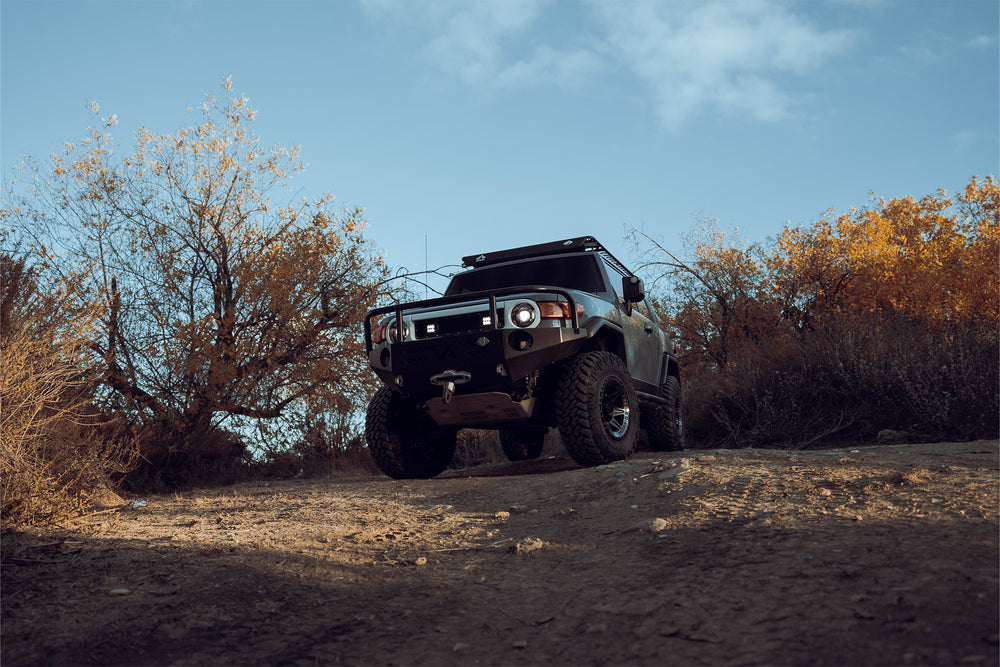FJ Cruiser wheels